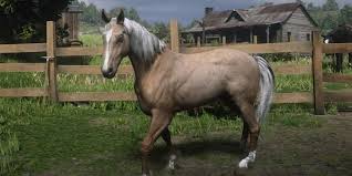 Rdr2 This Is The Only Fearless Horse Red Dead Redemption 2 - Youtube
