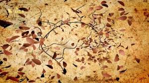 صور اوراق الشجر خلفيات عن فصل الخريف 2017 ميكساتك