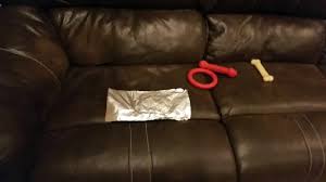 How To Keep Dogs Off Of Any Couch Actually Works Youtube