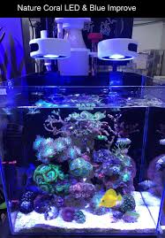 Aquarium air laut atau aquarium air tawar adalah salah satu hiasan yang di dalam rumah untuk menarik pandangan kepada orang lain yang ingin mau berkunjung atau silaturahmi ke rumah kita. Mini Nano Coral Sps Lps Reef Alga Tumbuh Suplemen Lampu Led Aquarium Laut Asin Tangki Ikan Led Aquarium Tank Light Aquariumaquarium Fish Tank Led Aliexpress