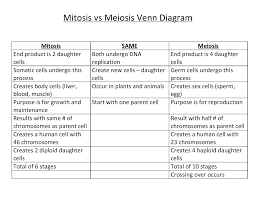 Mitosis vs meiosis worksheet answer key. Mitosis Vs Meiosis Venn Diagram