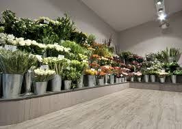 Afbeeldingsresultaat Voor Interieur Bloemenwinkel Floricultura Jardinagem E Paisagismo Florista