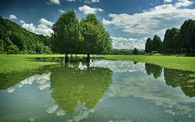 Keindahan yang sungguh mengasyikkan.membuat diri terpukau hingga tertawan hati dan perasaan. Page 22 Hd Green Field With Trees Wallpapers Peakpx