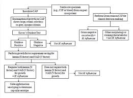 x and v factor test for haemophilus principle procedure