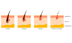 It has been found that besides the fact that the disease causes loss of pubic hair, it also causes reduced libido and loss of hair in your armpits. Cancer Treatments Cause Hair Loss Or Hair Changes Cancer Hair Care