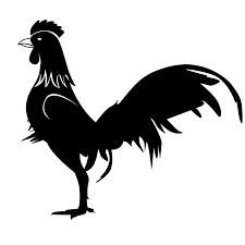 Especialmente (eeuu) (más pequeño) cockerel. File Gallo 1325887 Svg Wikimedia Commons