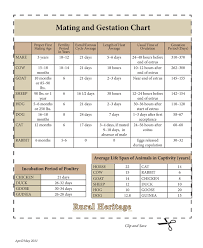 24 Accurate Cow Gestation Period Chart