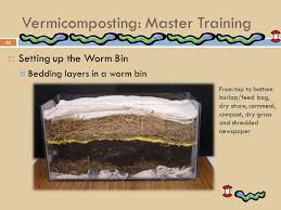 Pour a one inch/2.5 centimeter (1.0 in) layer of oats/cornmeal into the bottom of each plastic container. Vermicomposting Master Training For City Volunteers Ppt Video Online Download