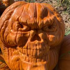 Image result for vyřezávání dýní inspirace