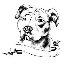 Pin On Tattoo