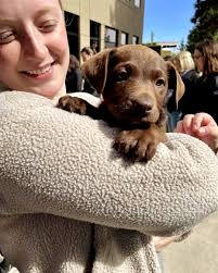 St. Charles Health System (@stchealth) • Instagram photos and videos