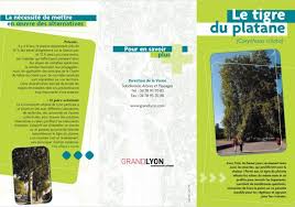Pe aceasi tema tigrul platanului, insecta care îi terorizează pe bucureşteni. Invazia Tigrului Platanului Oficiul Fitosanitar Spune CÄƒ Nu ExistÄƒ Produse Avizate Pentru Combatere