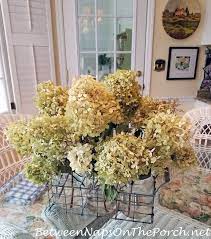 How to use hydrangeas in a bouquet. The Easy Way To Dry Or Preserve Limelight Hydrangea Blossoms Between Naps On The Porch