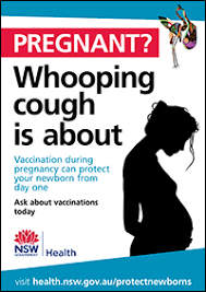 Pregnant Women Protect Your Newborn From Whooping Cough Immunisation Programs