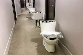 Maybe you would like to learn more about one of these? Toronto Condos Forced To Share Plunger After New Efficient Toilets Installed
