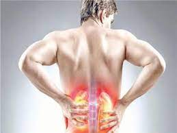 كبسولة طبية مكان ووظائف الكلى في الجسم بوابة أخبار اليوم الإلكترونية