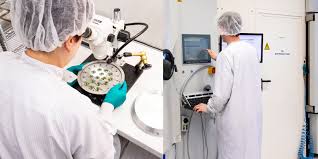 Ipg photonics corp (ipgp) q1 2021 earnings call transcript. Ipg Laser Gmbh In Burbach Unternehmen In Sudwestfalen