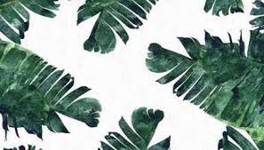 Trendy Wallpaper Laptop Backgrounds Desktop Wallpapers Ideas Desktop Wallpaper Macbook Imac Wallpaper Free Desktop Wallpaper We've gathered more than 5 million images uploaded by our users and sorted them by the most popular ones. trendy wallpaper laptop backgrounds