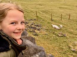 Another lovely local family stroll out and we got to see the sheared  alpacas (with their lockdown haircuts 😜), the lambies getting larger, new  views of the Manchester skyline, ruins and rocky