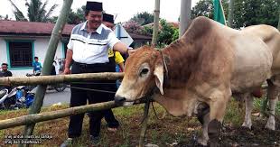 Kadangkala sering kali muncul persoalan siapakah golongan yang paling afdal atau layak menerima agihan daging qurban setiap kali menjelangnya hari raya aidiladha. Kena Ada Permit Sebelum Boleh Sembelih Haiwan Korban Asklegal My