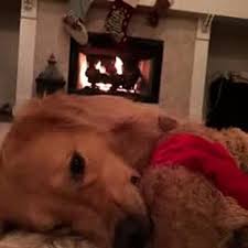 Check spelling or type a new query. Baby It S Cold Outside Vine Video Dailymotion