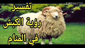 Nov 10, 2020 · رؤية اللحم في المنام من الرؤى التي تتكرر كثيراً في منام العديد من الأشخاص حيث أن رؤية الطعام من الرؤى الشائعة والتي تختلف دلالتها من شخص لآخر، ويبحث كثير من الأشخاص عن معرفة معنى هذه الرؤية وما تحمله من خير أو شر. Ø±ÙƒÙˆØ¨ ÙƒØ¨Ø´ ÙÙŠ Ø§Ù„Ù…Ù†Ø§Ù… Sheikhagar Org