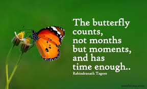15 Nothing Lasts Forever Quotes That Will Change Your Perspective ...