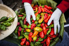 Can Ghost Peppers Kill You Howstuffworks