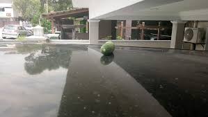 Jika kucing liar atau kucing tetangga secara konsisten menggunakan kebunmu untuk buang air besar, kamu bisa menggunakan cara aman cara lain yang lebih berperi kebinatangan, adalah menyiapkan toilet untuk si kucing lengkap dengan pasir. Guna Timun Ini Cara Halau Kucing Tanpa Menyakiti Mingguan Wanita