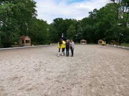 Browse 35 libuse stock photos and images available, or start a new search to explore more stock photos and images. Landeschampionat Der 5 Und 6 Jahrigen Mecklenburger Dressurpferde In Redefin Pferdezuchtverband Mv