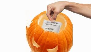 Oct 04, 2020 · bleaching and oiling a cut pumpkin can extend its life 5 to 7 days. How To Make Your Halloween Pumpkin Last Longer With Silica Gel Halloween Ideas Wonderhowto