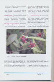 Image result for Kotschya africana