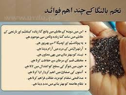 Chia Seeds In Urdu Google Search Basil Seeds Benefits Chia Seeds Benefits Health Tips