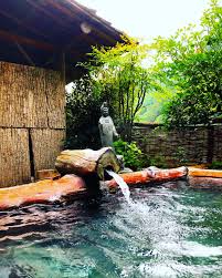 奈良田 温泉 白根 館