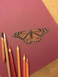 Realistic Monarch Butterfly Pencil Drawing Art Imgur Disegno Realistico Disegni Farfalle