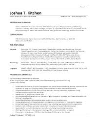 professional 2 page resume examples