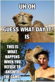 Brings back memories posing for this. 12 Funny Hump Day Memes That Will Make Your Whole Week