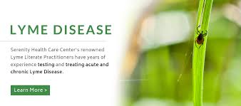 Symptoms Of Lyme Disease Functional Medicine Clinic Near Milwaukee