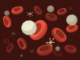 In order to reproduce, organisms must ensure that their offspring have. Cell Theory And Common Parts Of A Cell Ck 12 Foundation