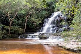 Somersby falls… they may not be niagara falls nor victoria falls but i bet you couldn't stand underneath any of those. File Somersby Falls Brisbane Water National Park Jpg Wikimedia Commons