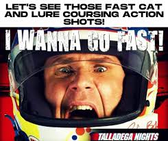 For some reason I could not add this secnd pic to my post