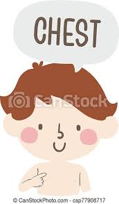 Nerve cell that is the main part of the nervous system. Kid Boy Naming Body Parts Chest Illustration Illustration Of A Kid Boy Pointing To His Chest And Saying Chest As Part Of Canstock