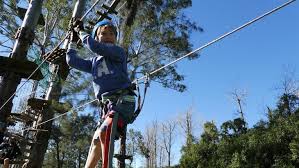 Whether you're camping with the family or a group of friends, it helps to plan ahead with a few activities for the adults. Best Activities For Older Kids In Sydney Ellaslist