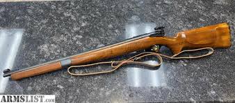 That's her street getup for the freezing detroit winter. Armslist Detroit Rifles Classifieds