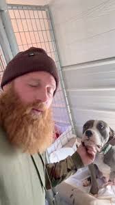 The pregnant, abandoned dog we found had 7 puppies!