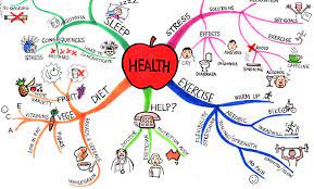 Each teacher's guide includes discussion . 8th Grade Health Class Bulb