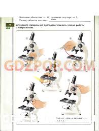 готовые контурные карты по истории нового времени 8 класс Itogovye Testy Po Okruzhayushemu Miru 4 Klass Vtoraya Chetvert Ivchenkova Literature Blog Map