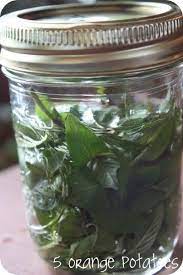Peppermint Extract Homemade Condiments Herbalism Homemade