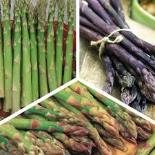 Maybe you would like to learn more about one of these? Popular Mix Asparagus Roots Urban Farmer