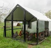 6x8 Powder Coated Steel Mobile Coop for 20-32 Chickens